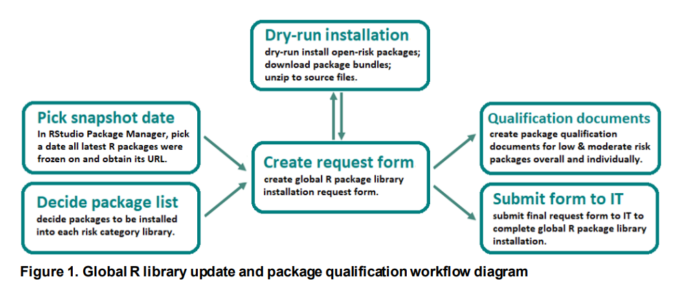 Figure 1. Global R library update and package qualification workflow diagram